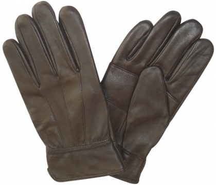 Dressing Gloves